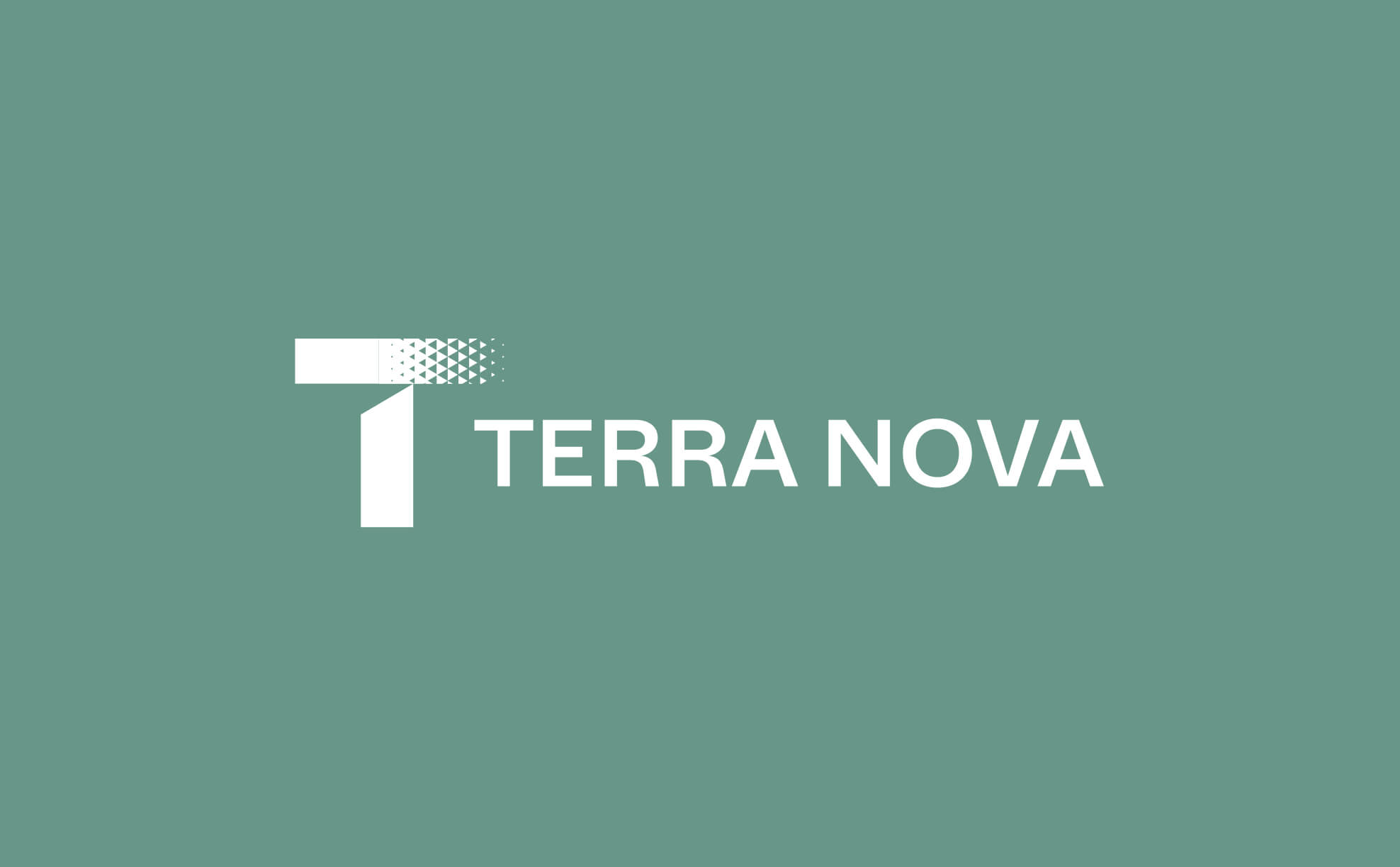 Terra Nova Insights Team